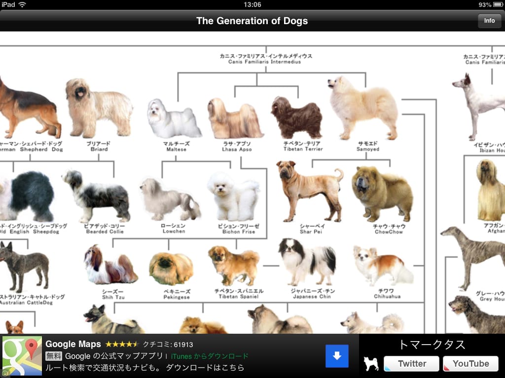 最高犬 系統 図