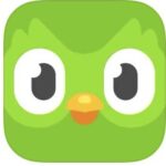 「Duolingo」は英語の基礎を学びたい人はもちろん、子供の英語学習の入門におすすめアプリ